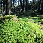 Le Voyageur Horská chata Murringen