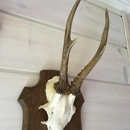 Le Voyageur Chalet Murringen