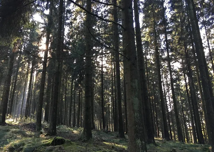 Chalet Le Voyageur *